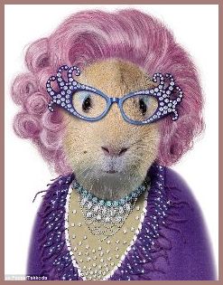 Edna Everage as cat