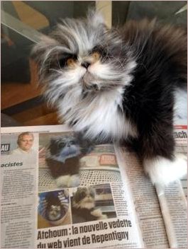Atchoum and newspaper article