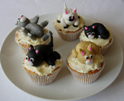 Cat Cup Cakes