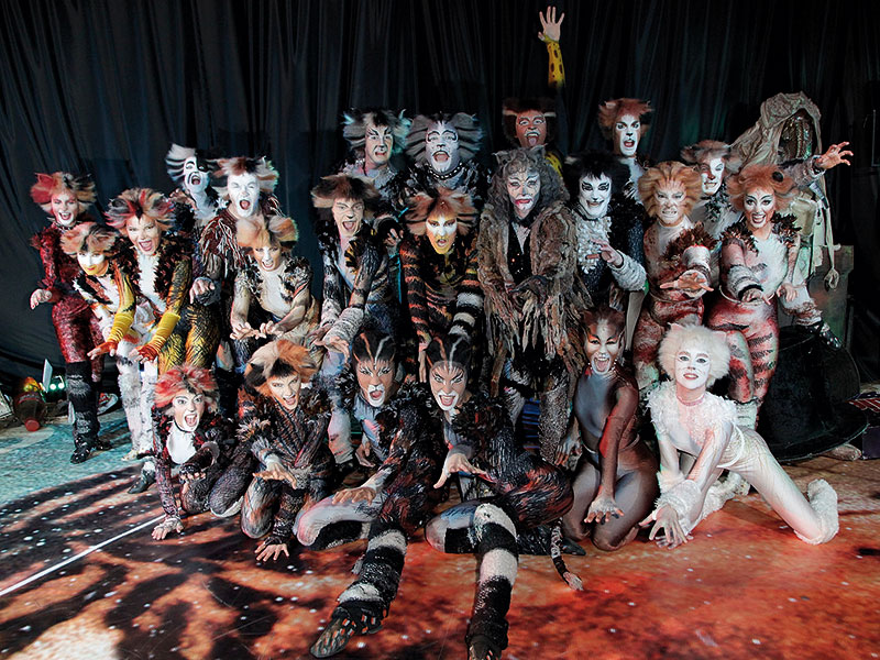 Cats the Musical Ensembe Cast