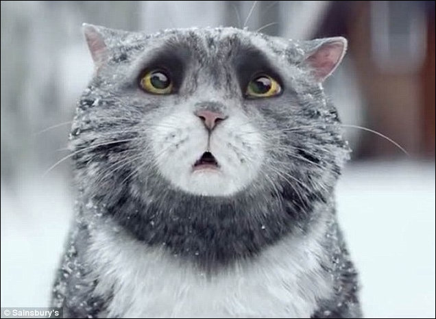 Mog the calamity-prone cat in a brand-new Christmas tv ad 