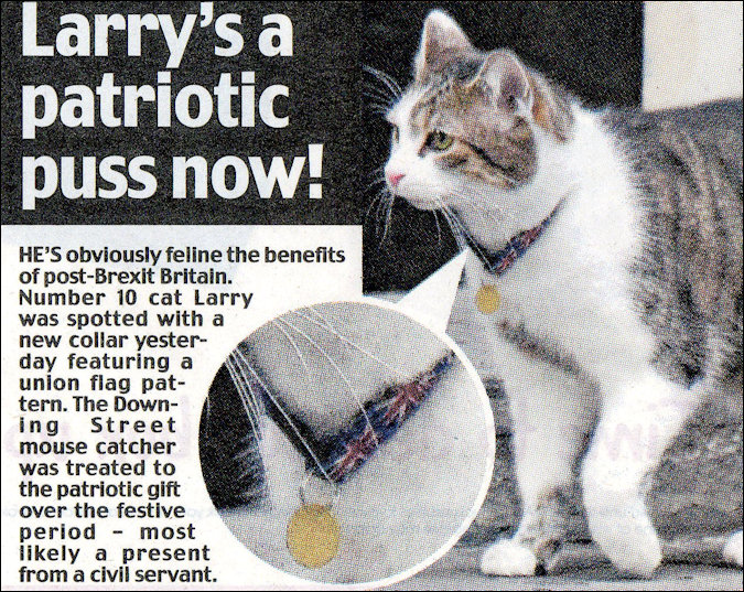 Larry the Downing Street Cat article
