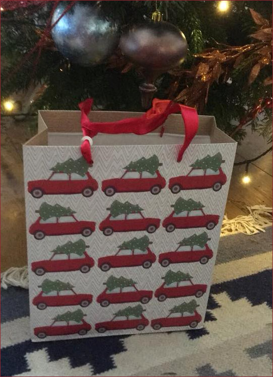 Christmas Bag