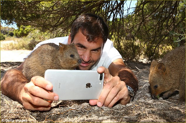 Roger selfie with quokka