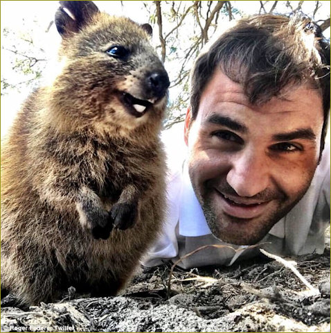Roger Federed selfie with obliging quokka
