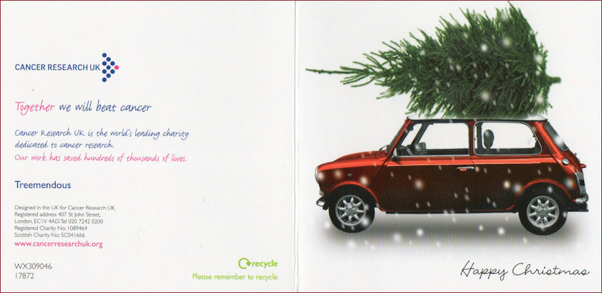 Mini Christmas Card for Cancer Research - back and front