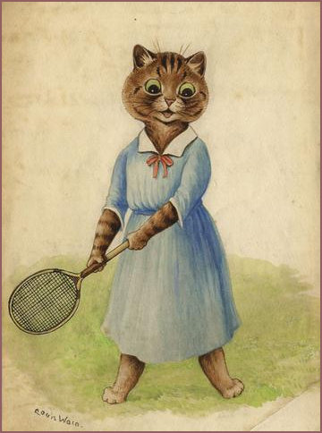 Lovely lady tennis cat