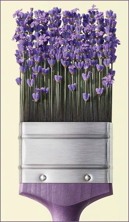 Lavender brush artwork