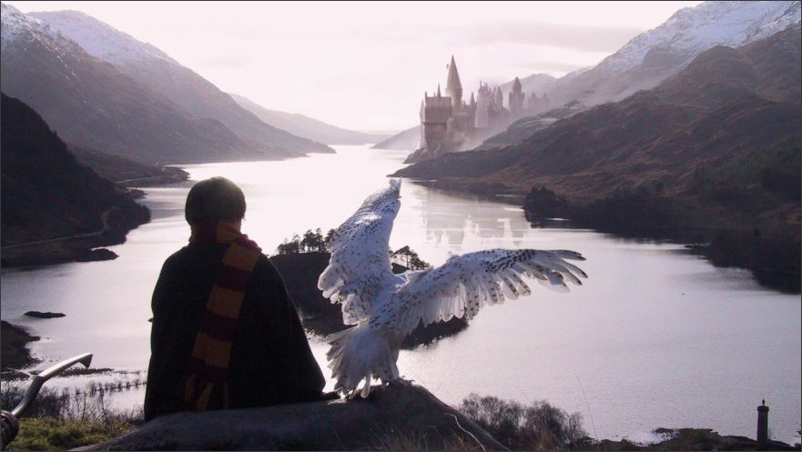 Harry Potter and Hedwig the Owl