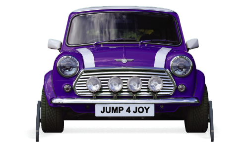 Jumping 4 Joy Purple Mini