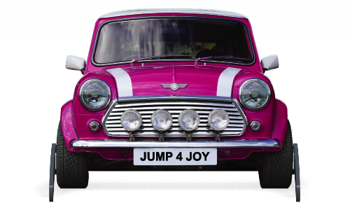 Jumping 4 Joy Pink Mini