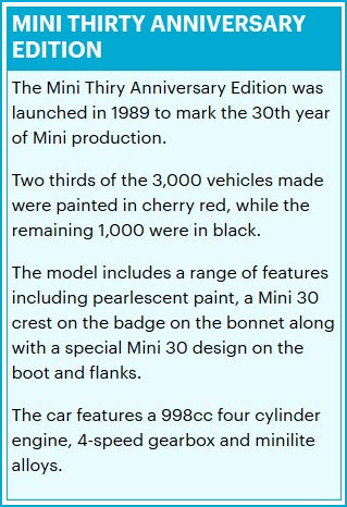 What the Mini 30 is about