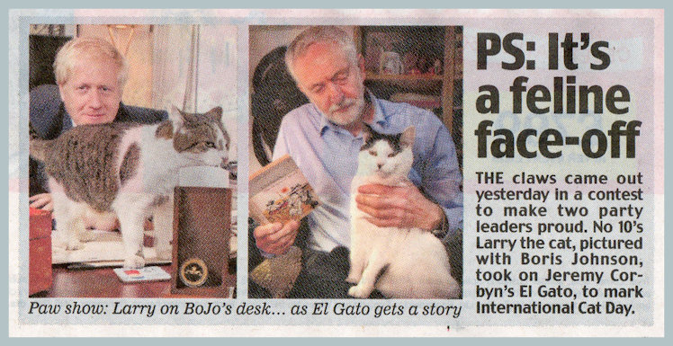 Jeremy Corbyn Bojo Cats