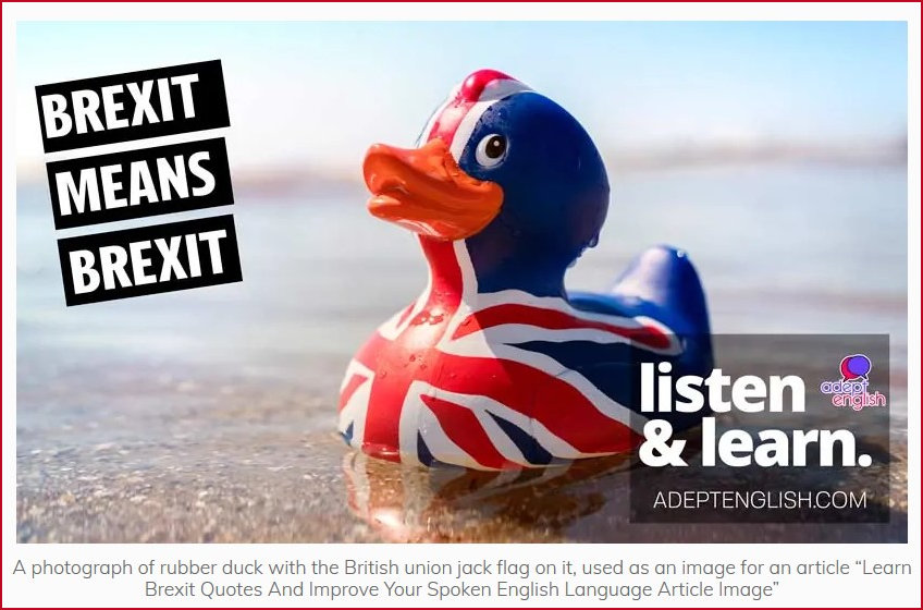 Brexit means Brexit Rubber Duckie