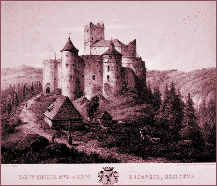 iedzice Castle in 1858