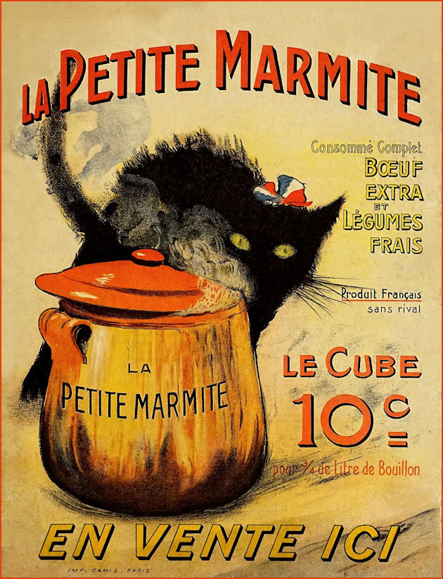 A cat with his marmite full of consomme