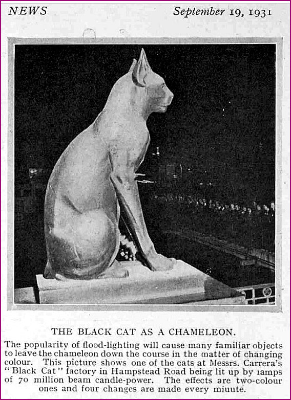 The Black Cat as a Chameleon