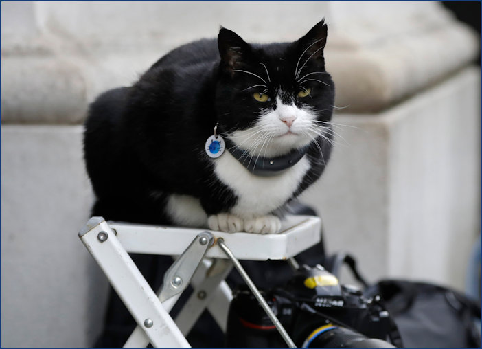 Palmerston posing for a final photograph