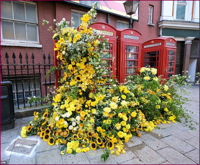 Telephone Kiosks bedecked in flowers by Flower Banksy in London