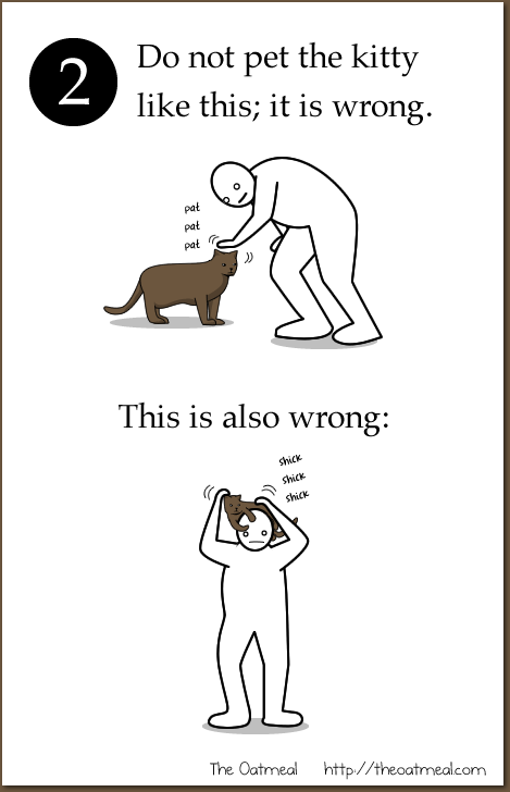 How not to pet kitty