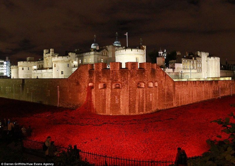 Nivght view of the poppies at the Tower