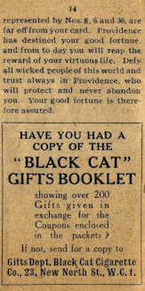 Black Cat Fortune Telling