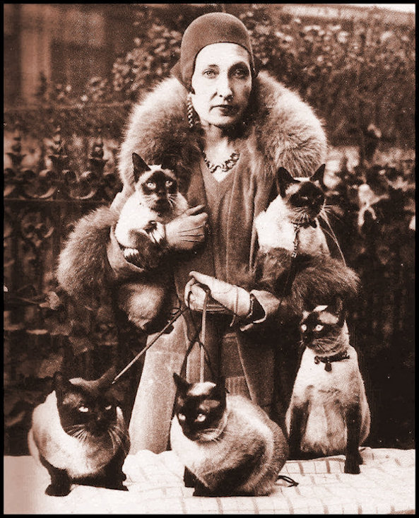 Siamese Cat Lady 1930s