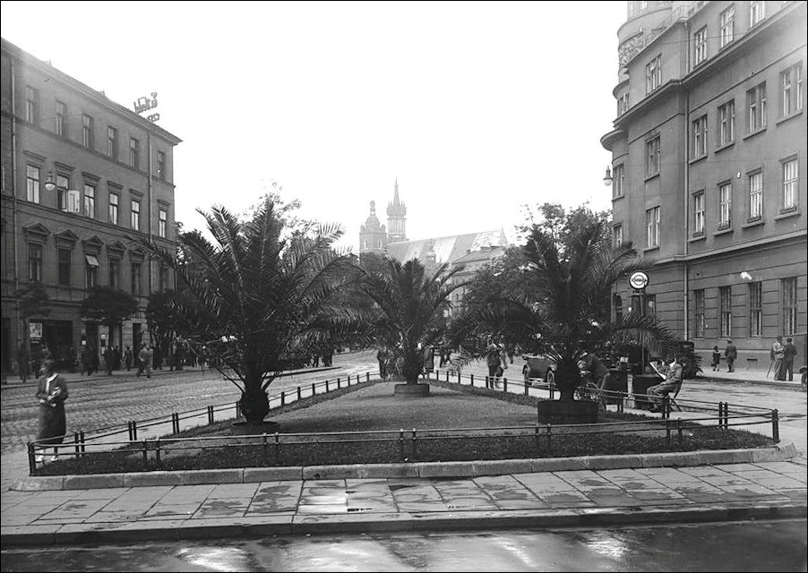 Palms in Krakow 1936