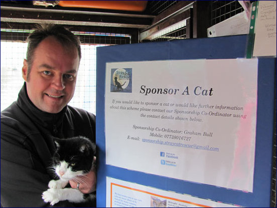 Simon at his local rescue centre for stray cats