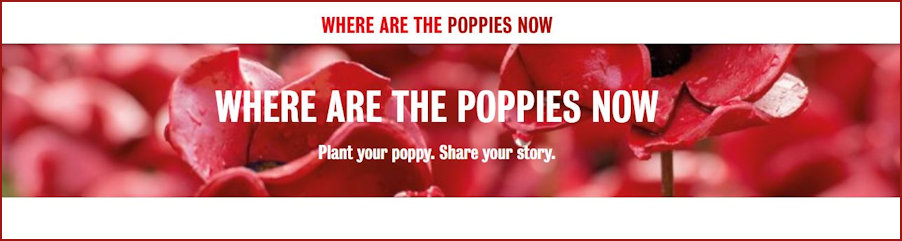 Header Banner for Poppy Initiative