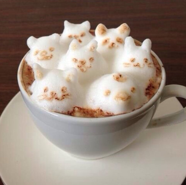 Many Cats in Frothy Coffee 