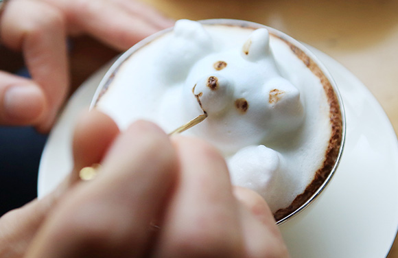 Creating Frothy Coffee Cat