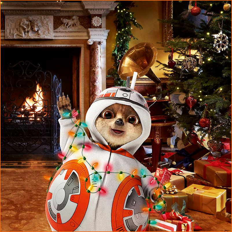 Quick visit  y Baby Oleg at Christmas