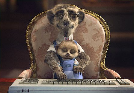 Oleg and Sergei