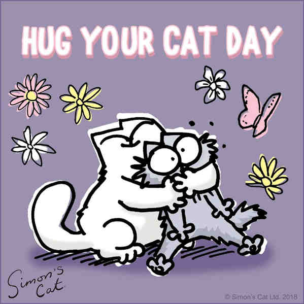 Simon's Cat Hug Day