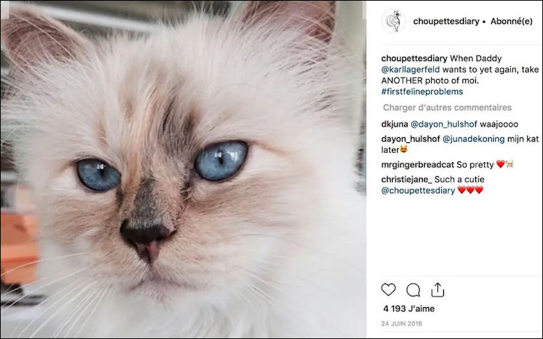 Choupette on Instagram