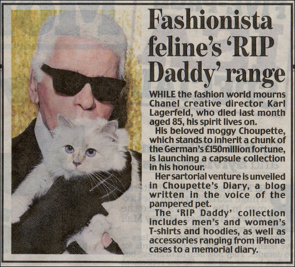 Fashionista feline's RIP Daddy range