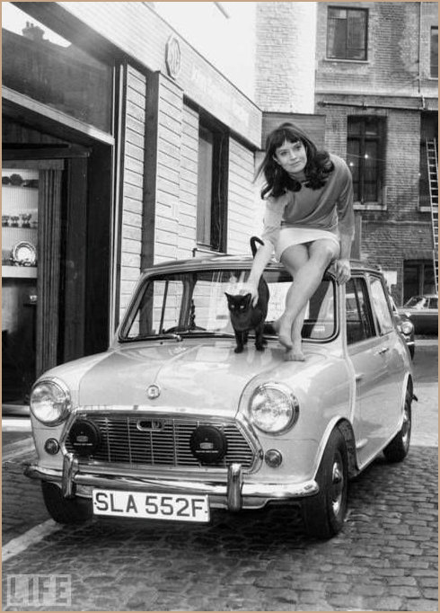 A 1967 registered Classic Mini, Cat, Model