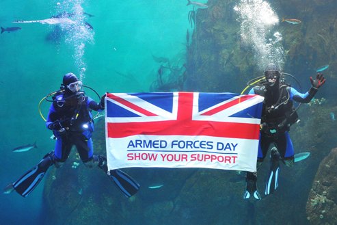 Royal Navy Divers