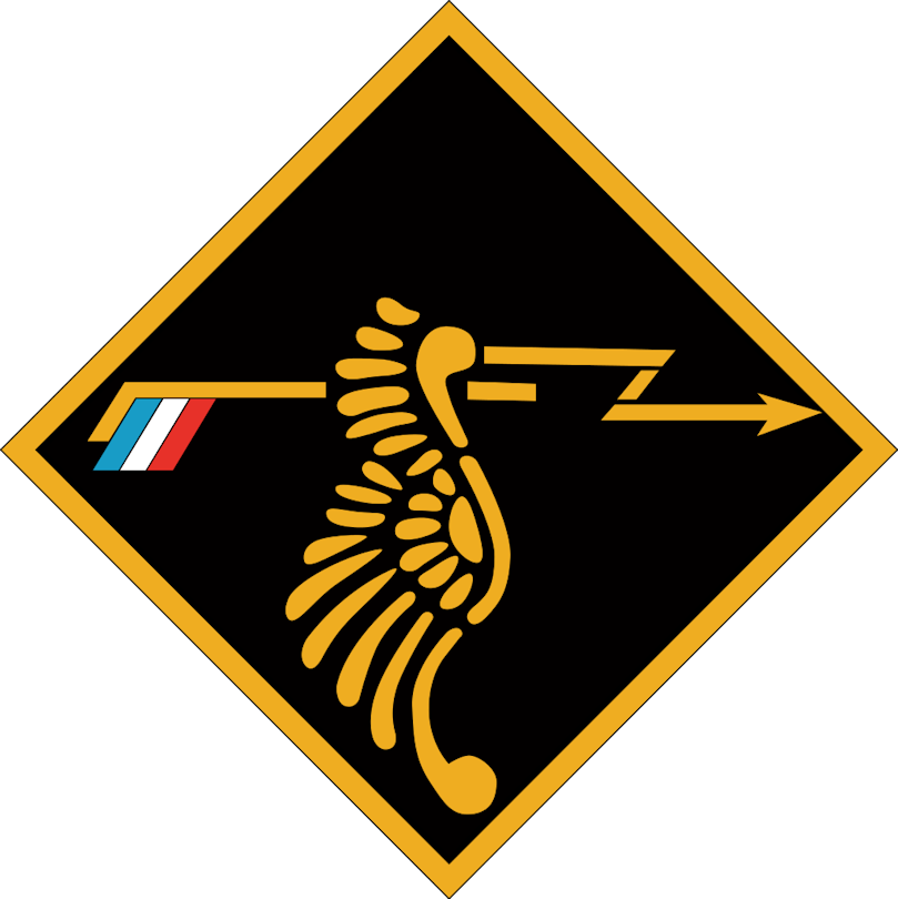 308 Squadron Emblem