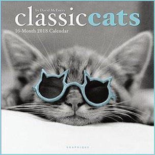 David McEnery Cat in Blue glasses