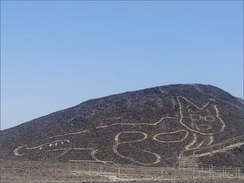 Nazca Cat on Hill