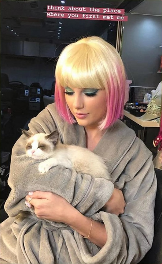 Taylor Swift with one of her kittens