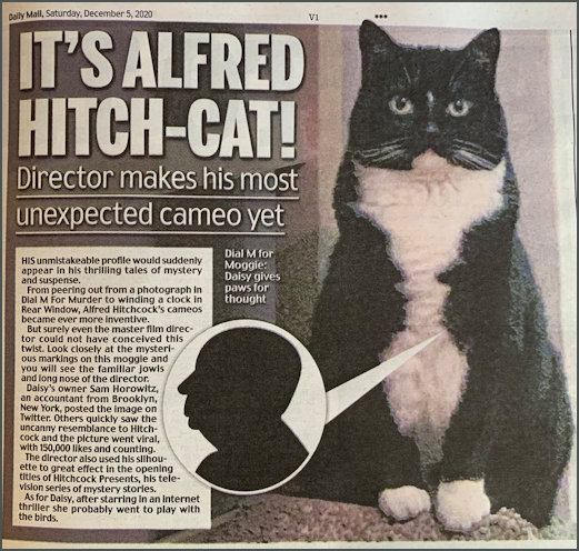 Daily Mail Screenshot of Newspaper article about Hitch-Cat