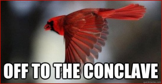 Red Cardinal Bird in Flight to the Conclave