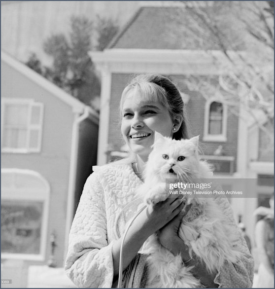 Mia Farrow and White Cat on set of Peyton Place in mid01960s
