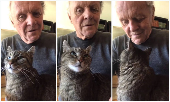 Anthony Hopkins and his cat Niblo