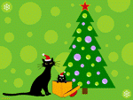 Christmas Card Cat